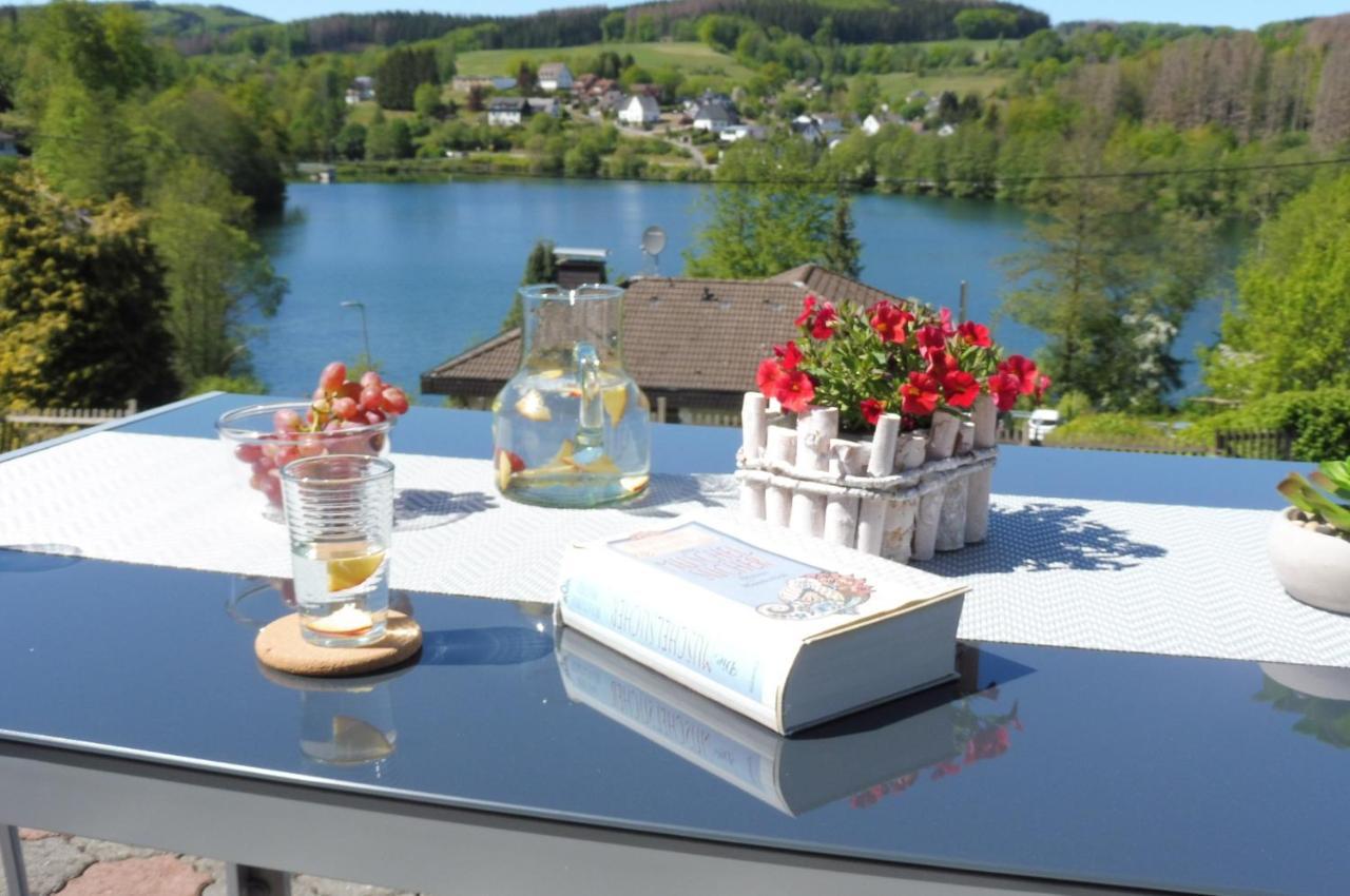 Exklusive Ferienwohnung 'Agger-Blick' Mit Grosser Seeblick-Terrasse & Sauna Gummersbach Zewnętrze zdjęcie